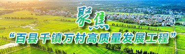 聚焦“百縣千鎮萬村高質量發展工程”